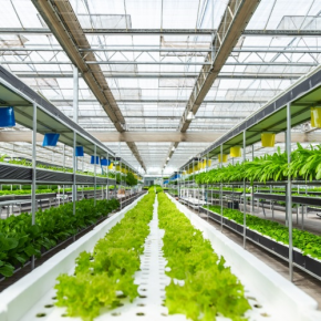Agricultural Facilities